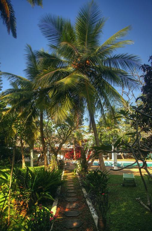 Ypsylon Tourist Resort Beruwala Zewnętrze zdjęcie